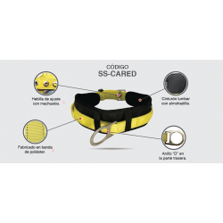 Cinturon con almohadila anillo \"D\" en espalda 1